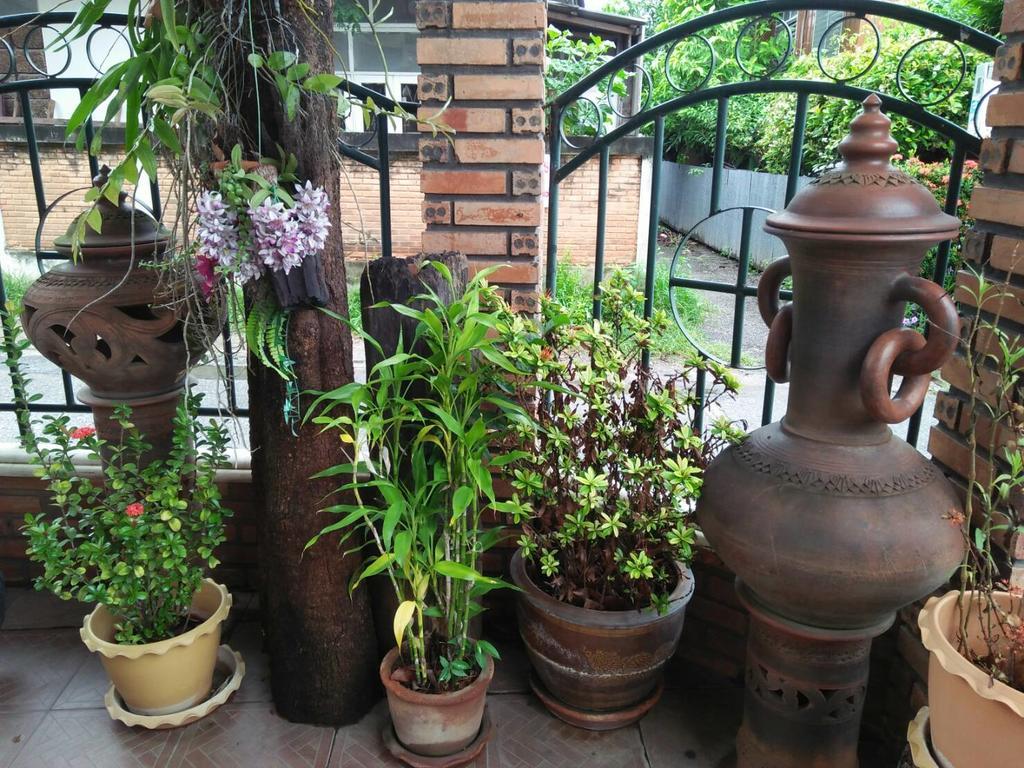 Villa Oranje Chiang Mai Eksteriør bilde